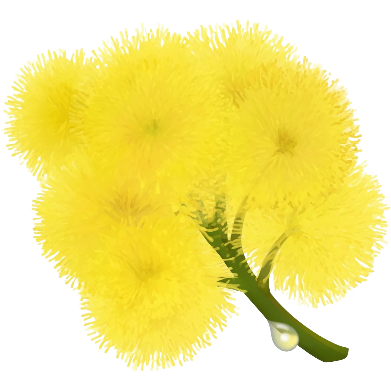 Mimosa emoji