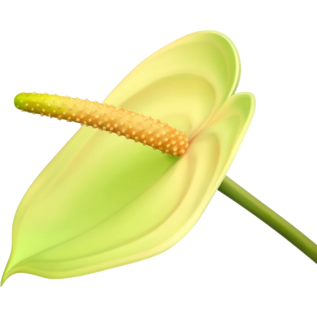 Anthurium andraeanum emoji