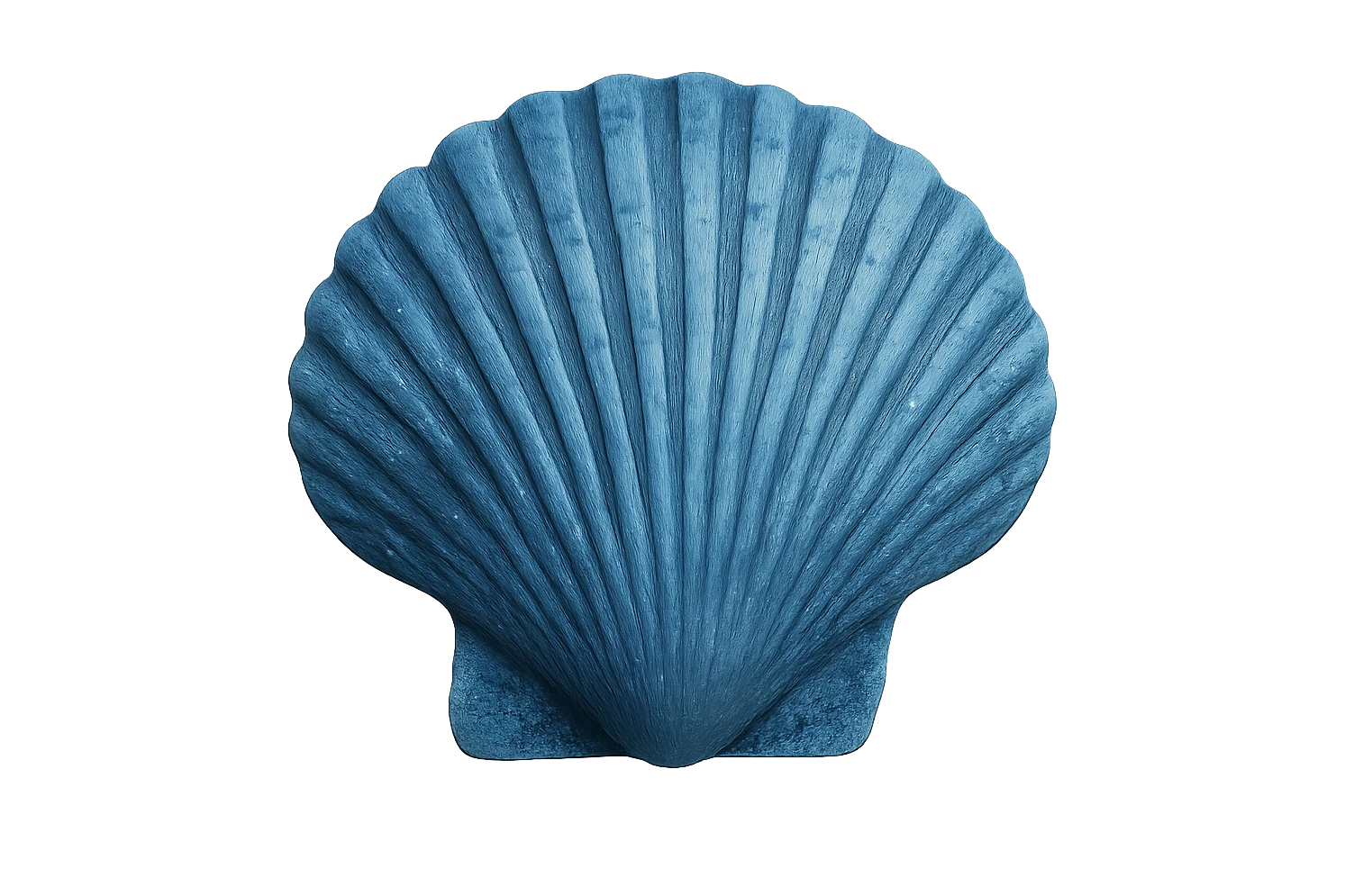 blue seashell, remove background emoji