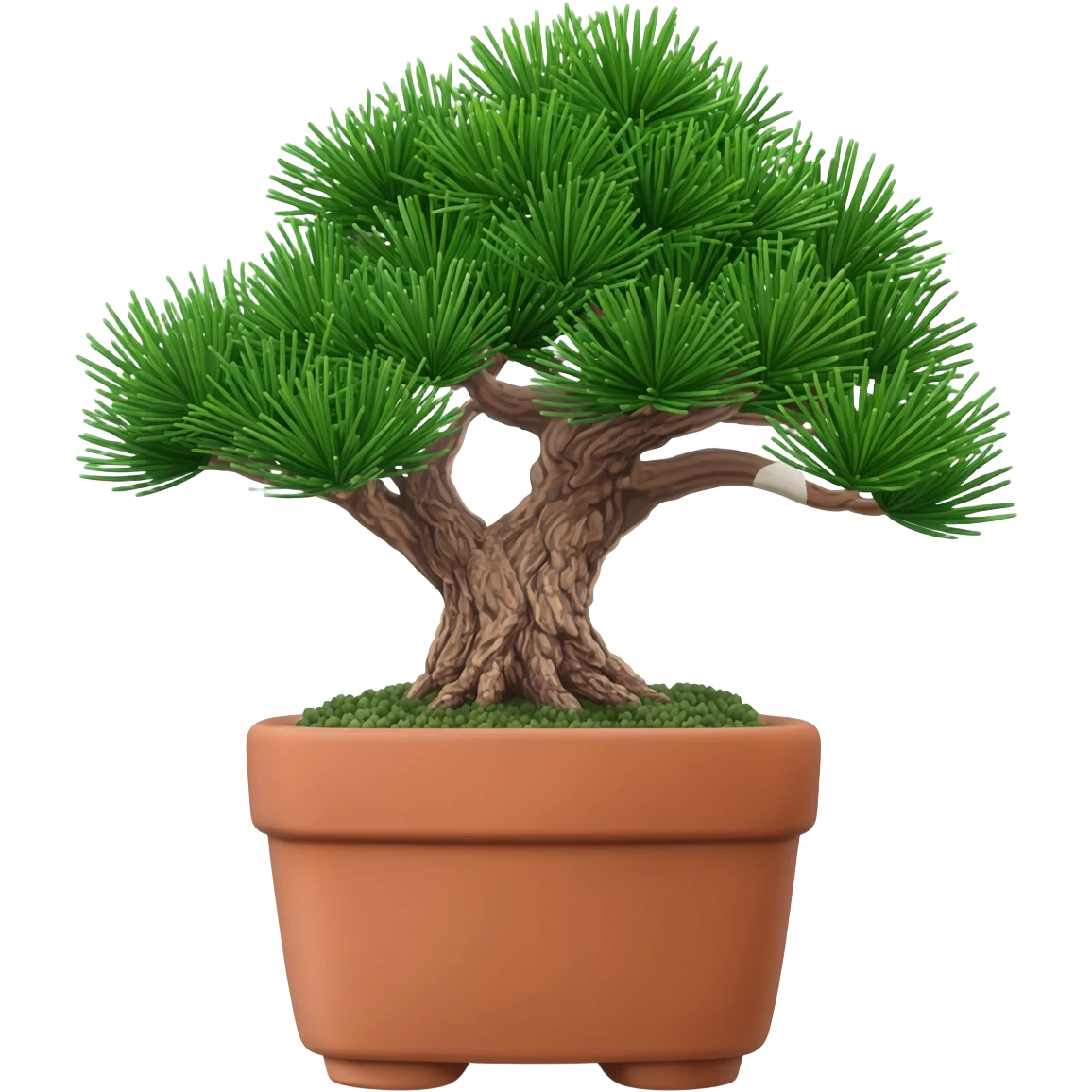 Bonsai tree emoji