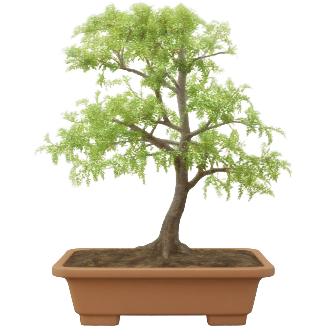 Bonsai tree emoji