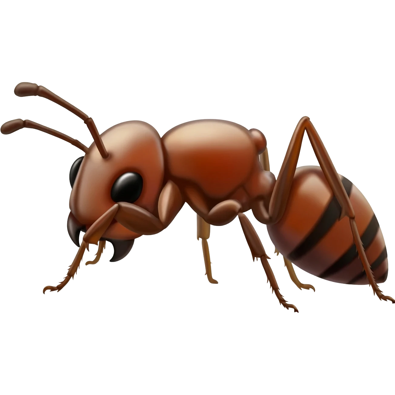 Ant emoji