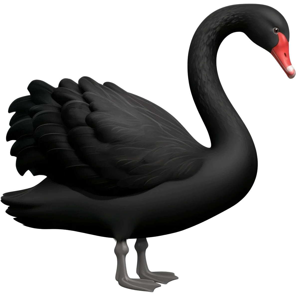 Black swan emoji emoji