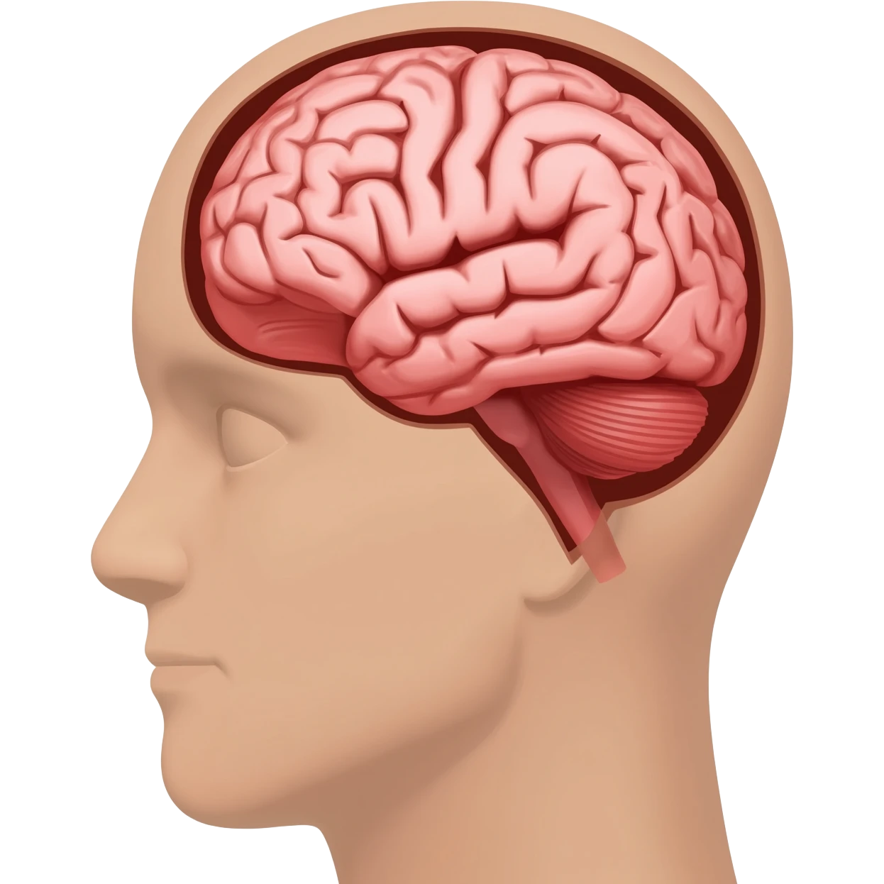 half brain head emoji