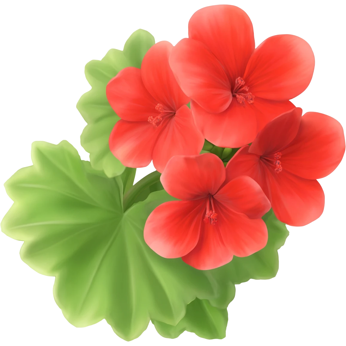 geranium emoji