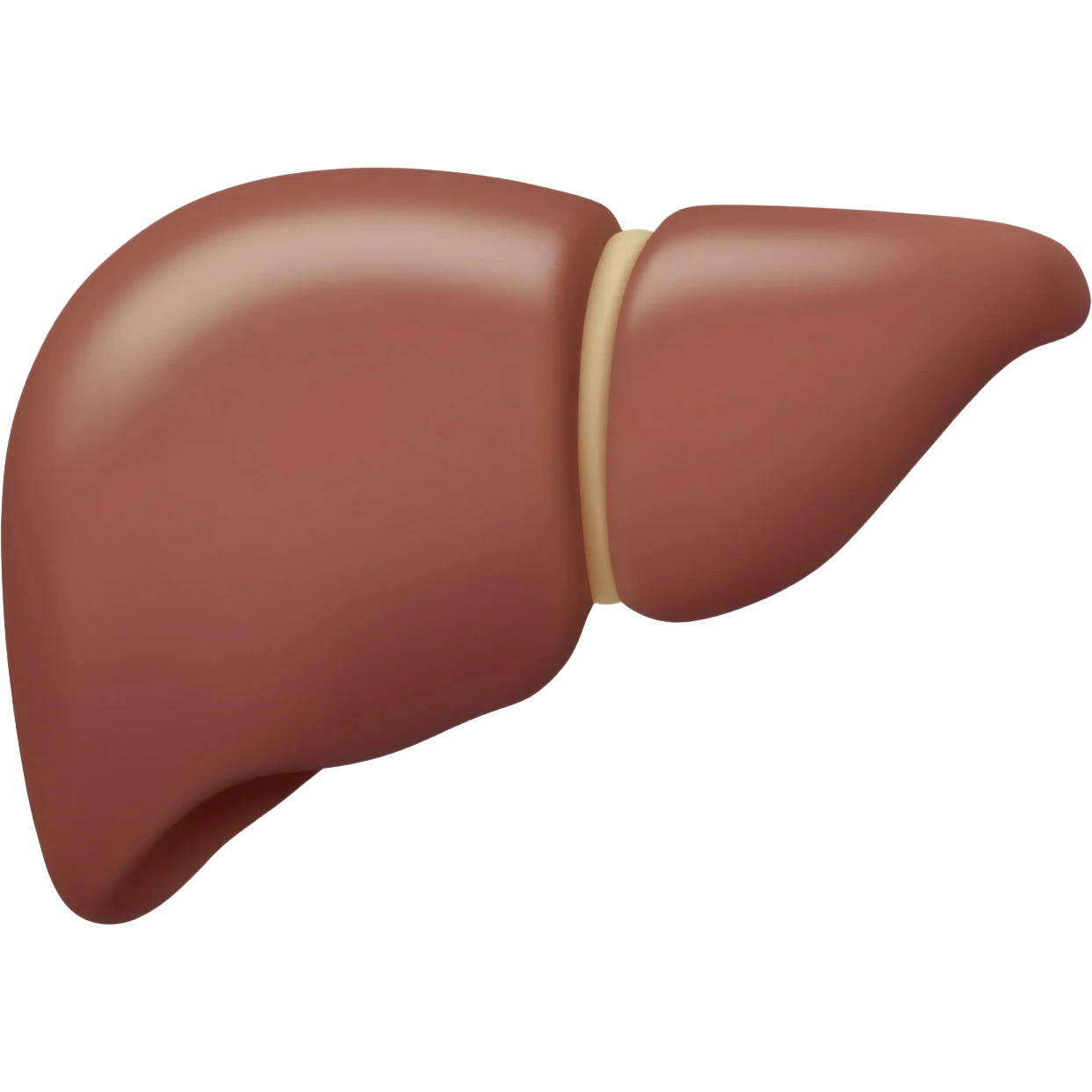 Liver emoji