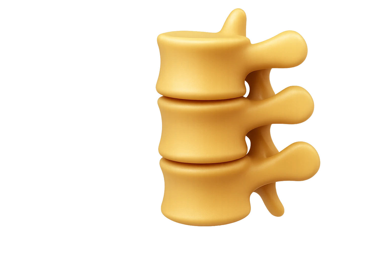 rappresenta con 3 emoji stile iphone di un piccolo tratto di spina dorsale, iperealistico 4k emoji