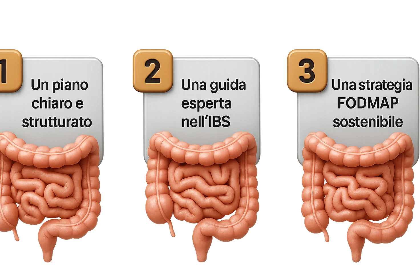 emoji stile iphone di 3 targhette numerate con intestino realistico davanti ad ogni targhetta, le targhette sono:
"1 – Un piano chiaro e strutturato
2 – Una guida esperta nell’IBS
3 – Una strategia FODMAP sostenibile"
, iperrealistico 4k emoji