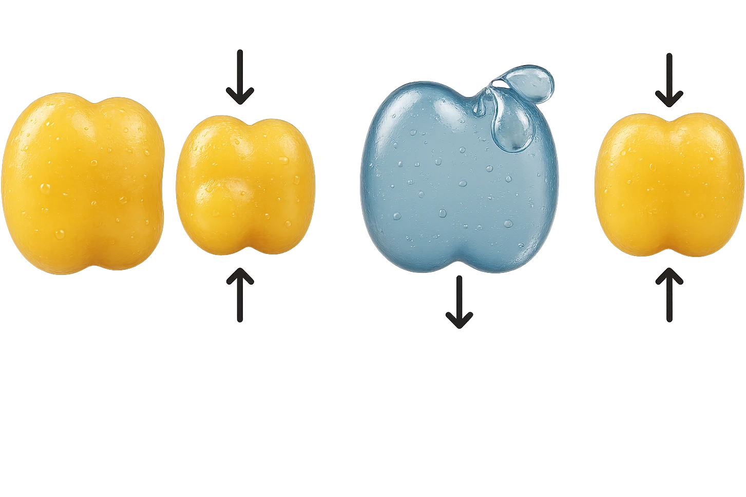 il processo di una cellula adiposa che si sgonfia, e si gonfia di acqua, falla identica all'immagine che ho allegato ma in 3d iperrealistica 4k emoji