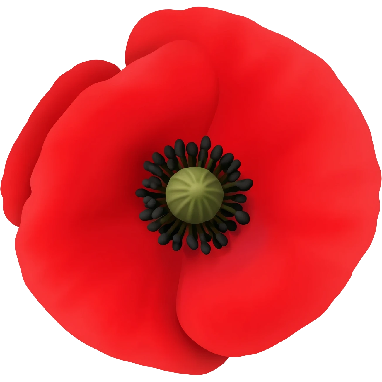 red poppy flower emoji emoji