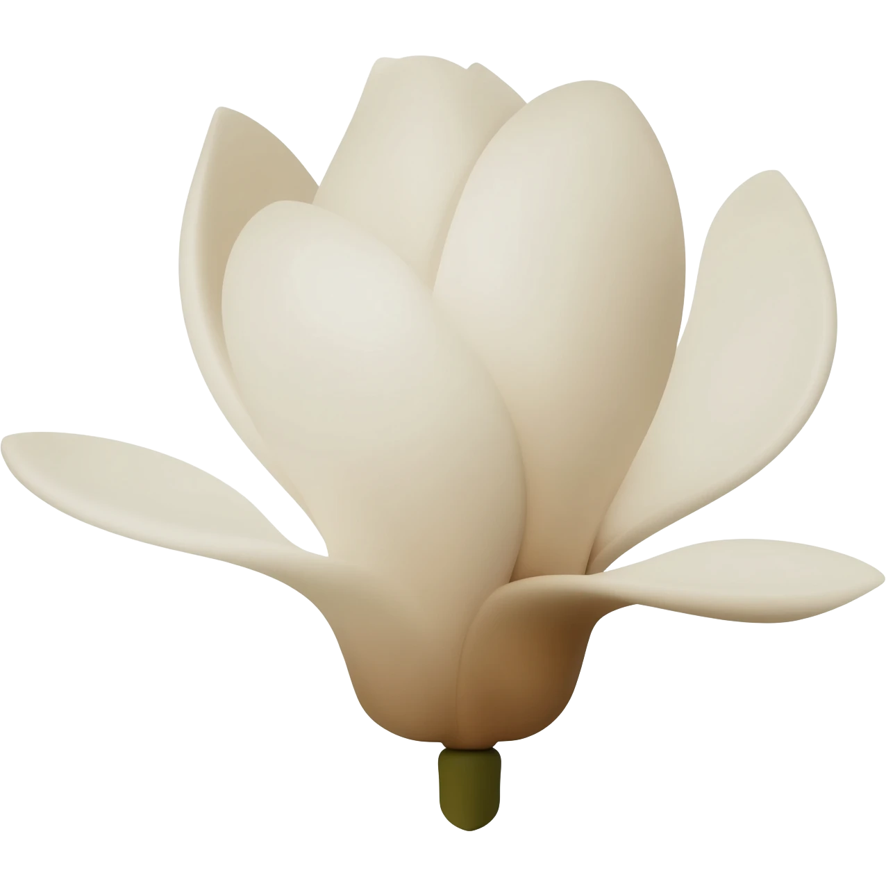 minimalist-magnolia-flower-with-soft-white-and-light-beige-petals-on-a-plain-white-background,-no-extra-details emoji