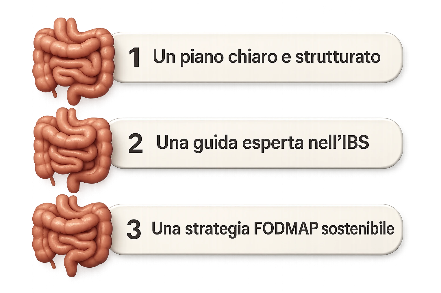 emoji stile iphone di 3 targhette numerate con intestino realistico davanti ad ogni targhetta, le targhette sono:
"1 – Un piano chiaro e strutturato
2 – Una guida esperta nell’IBS
3 – Una strategia FODMAP sostenibile"
, iperrealistico 4k emoji