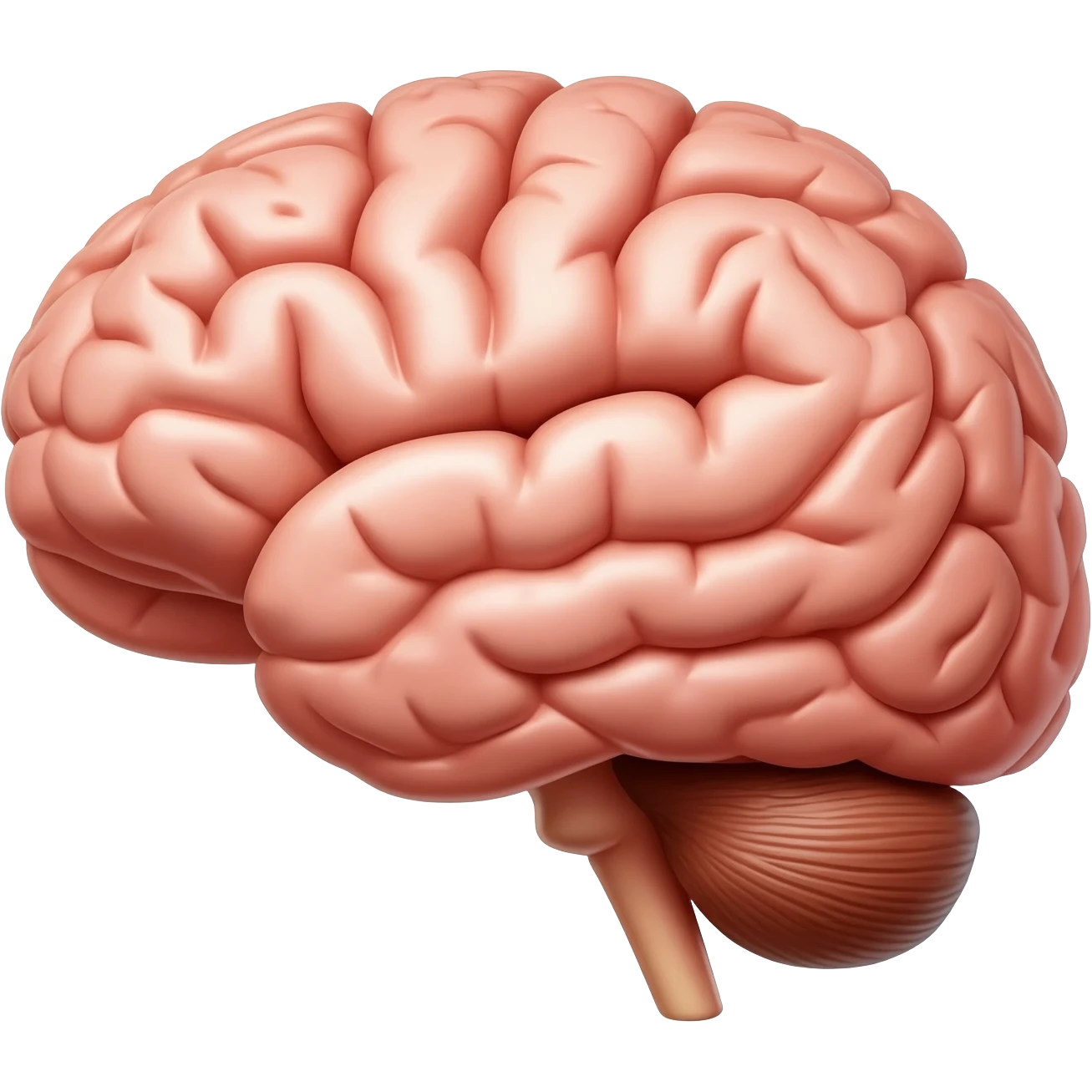 Créame una imagen de cerebro que sea muy real emoji