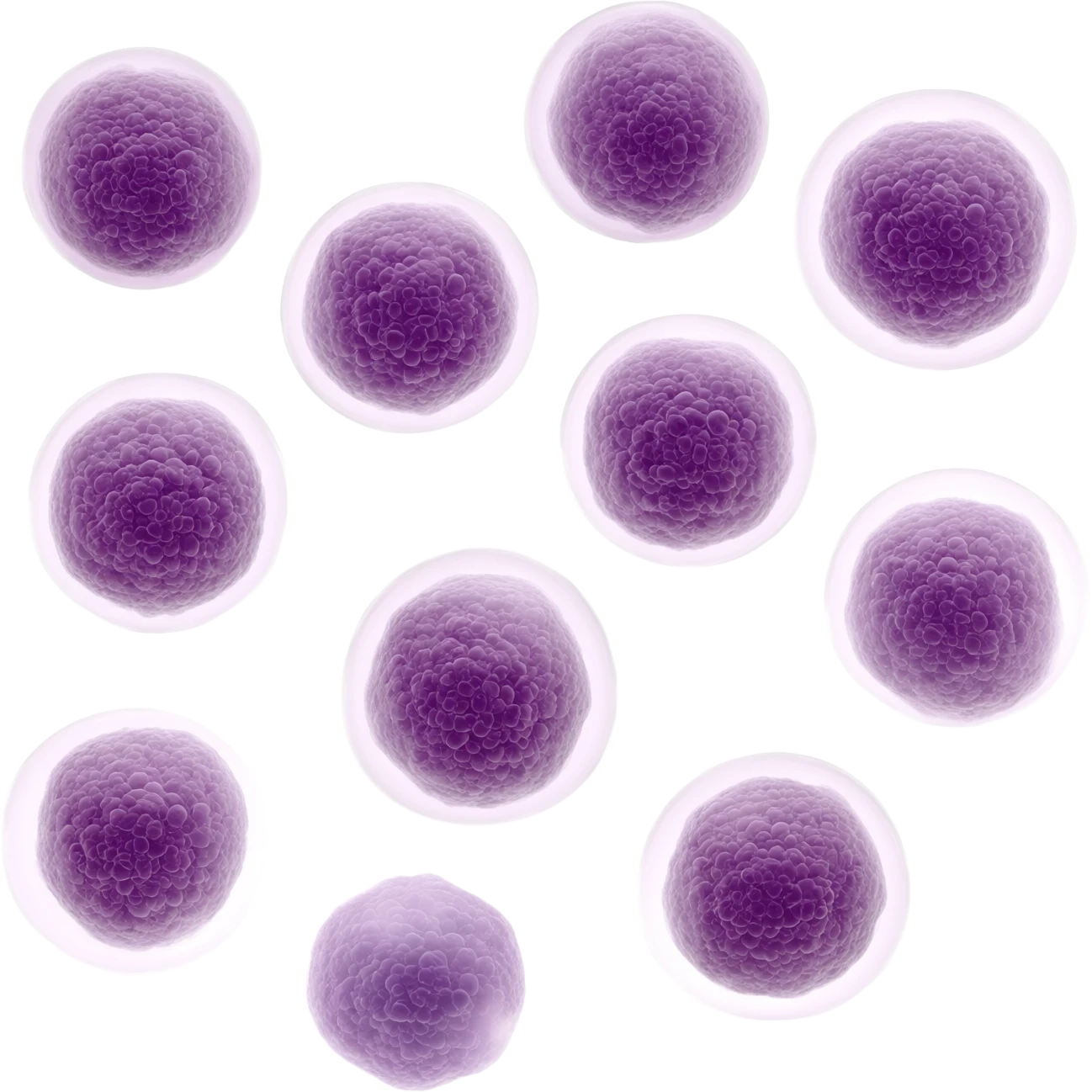 immune support emoji