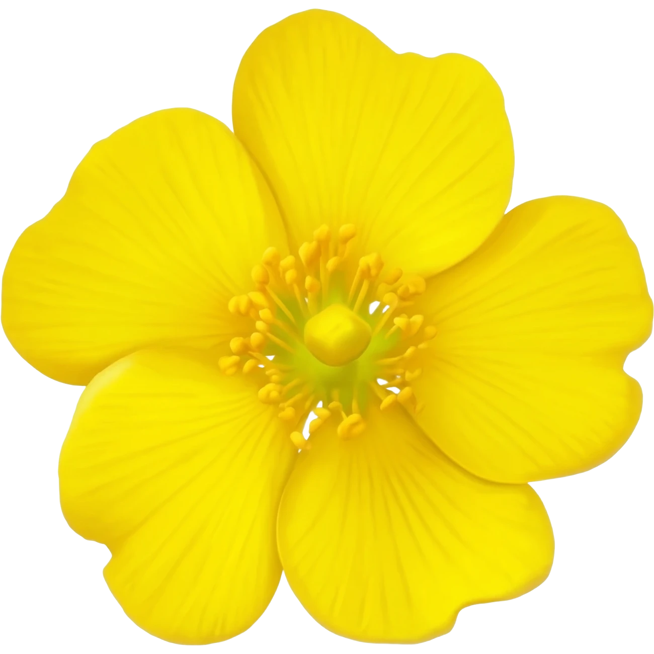 mimosa fiore emoji