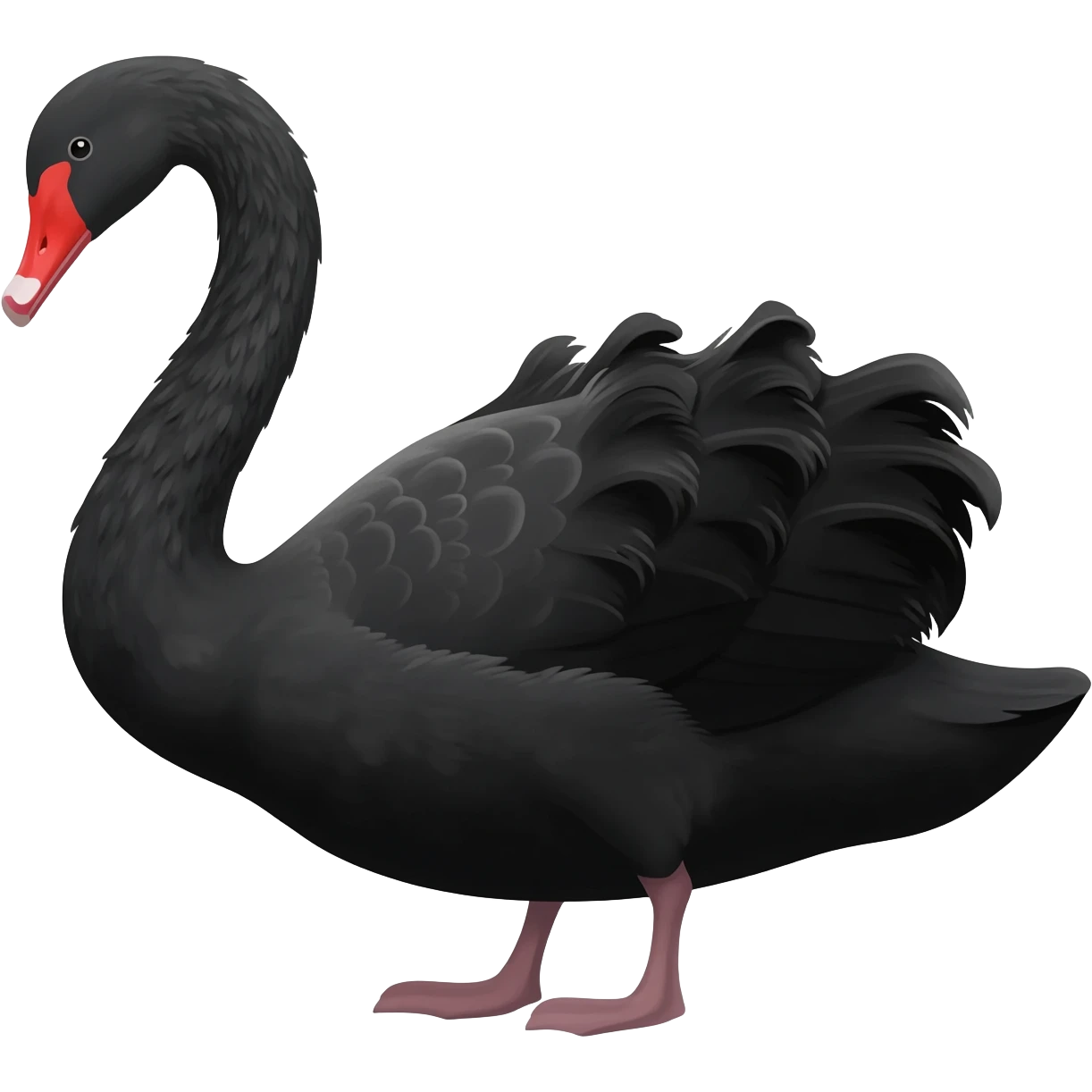Black swan emoji