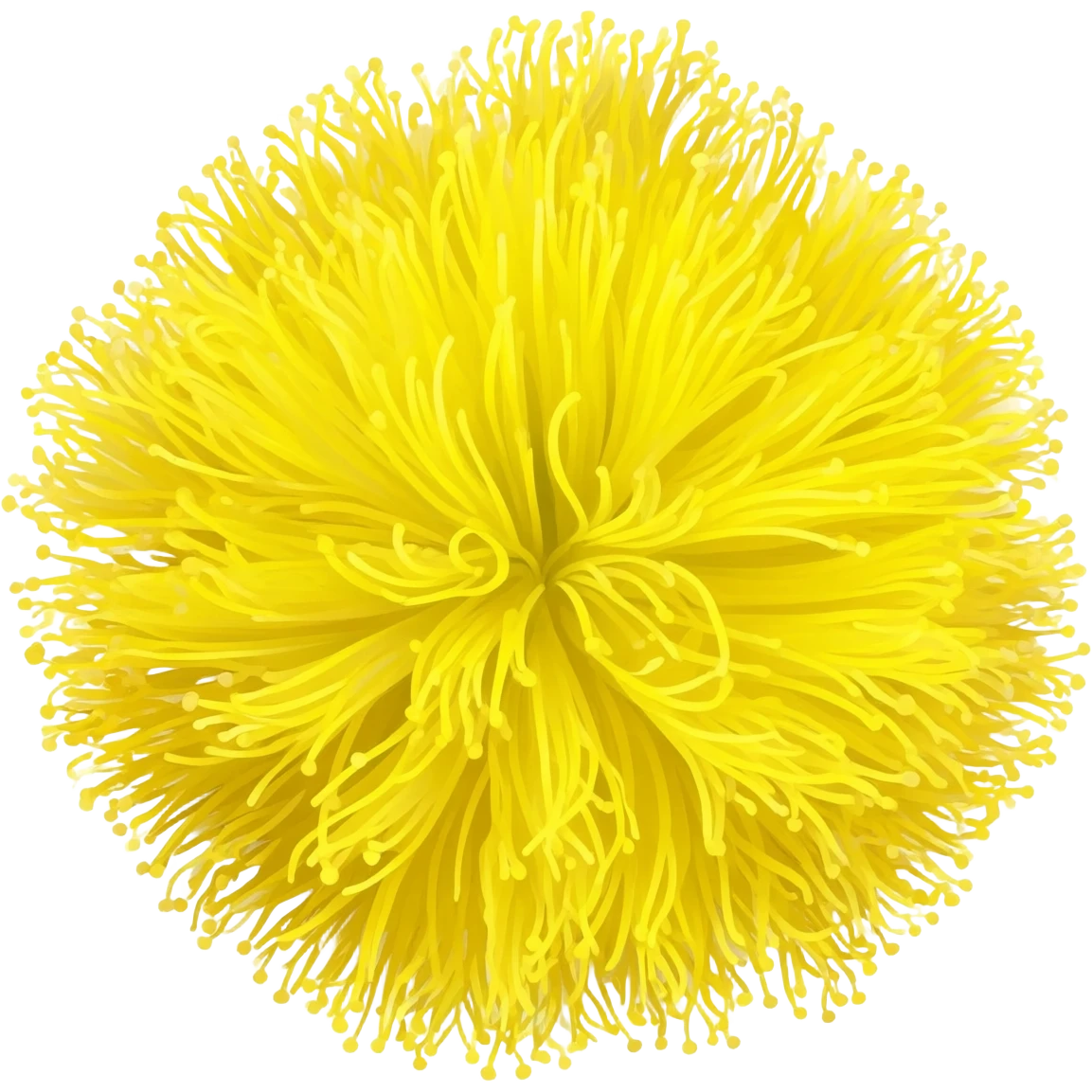 Fiore mimosa emoji