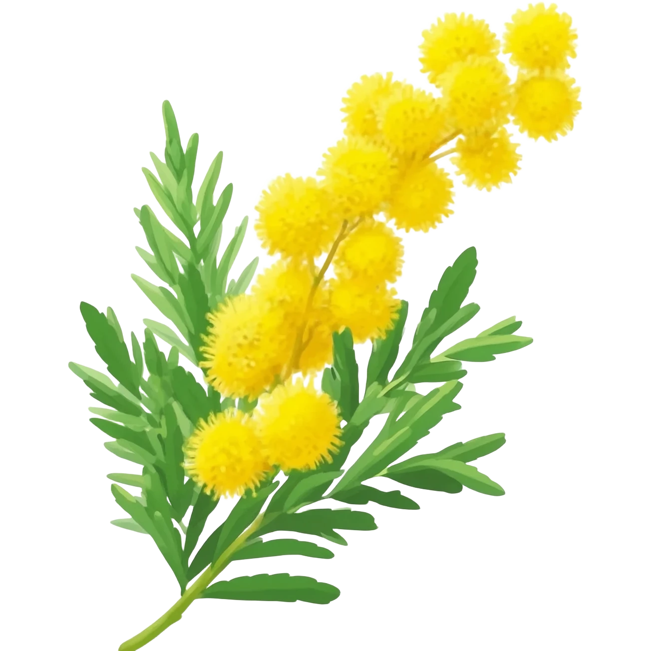 Gambo di mimosa gialla emoji