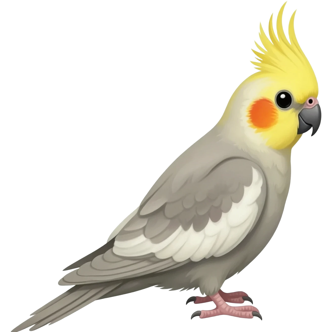 cockatiel bird to copy and paste emoji