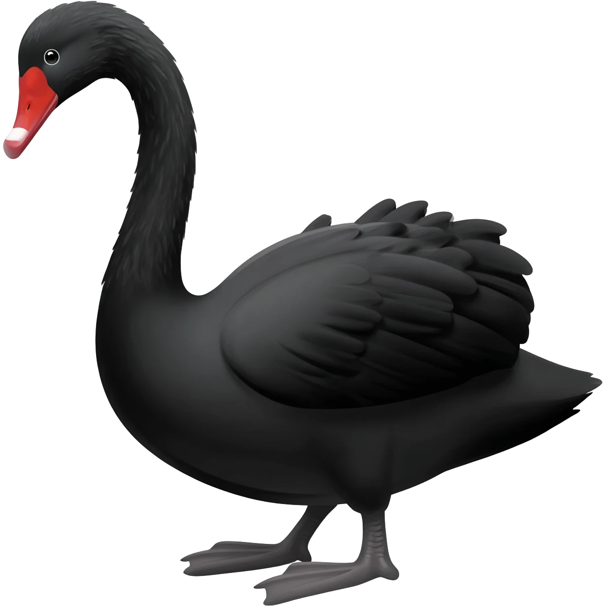 Black swan emoji
