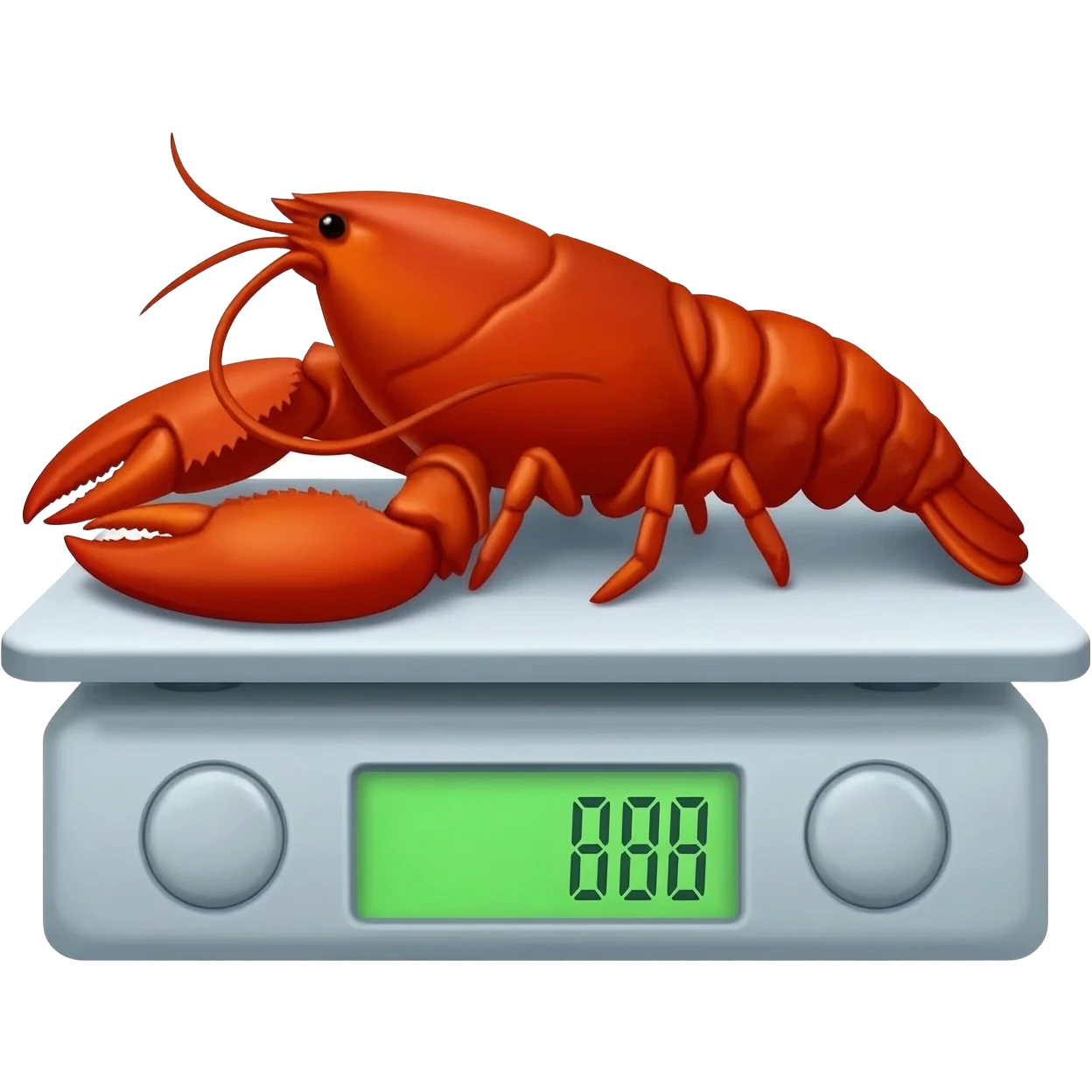 langosta sobre una balanza digital marcando el peso y el costo de la langosta emoji