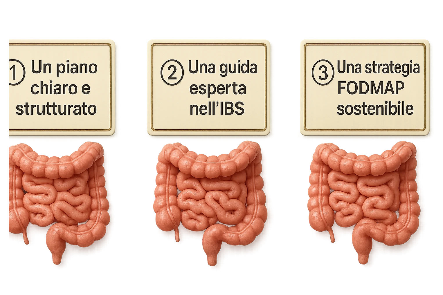 emoji stile iphone di 3 targhette numerate con intestino realistico davanti ad ogni targhetta, le targhette sono:
"1 – Un piano chiaro e strutturato
2 – Una guida esperta nell’IBS
3 – Una strategia FODMAP sostenibile"
, iperrealistico 4k emoji