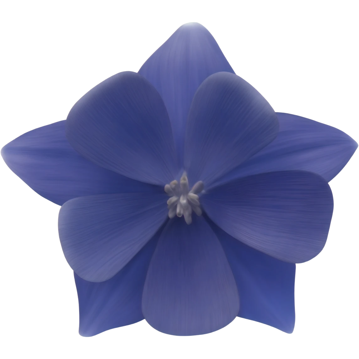 I said Columbine (flower) in Navy Rich Royal Blue shade. No leaves. No other colors. emoji