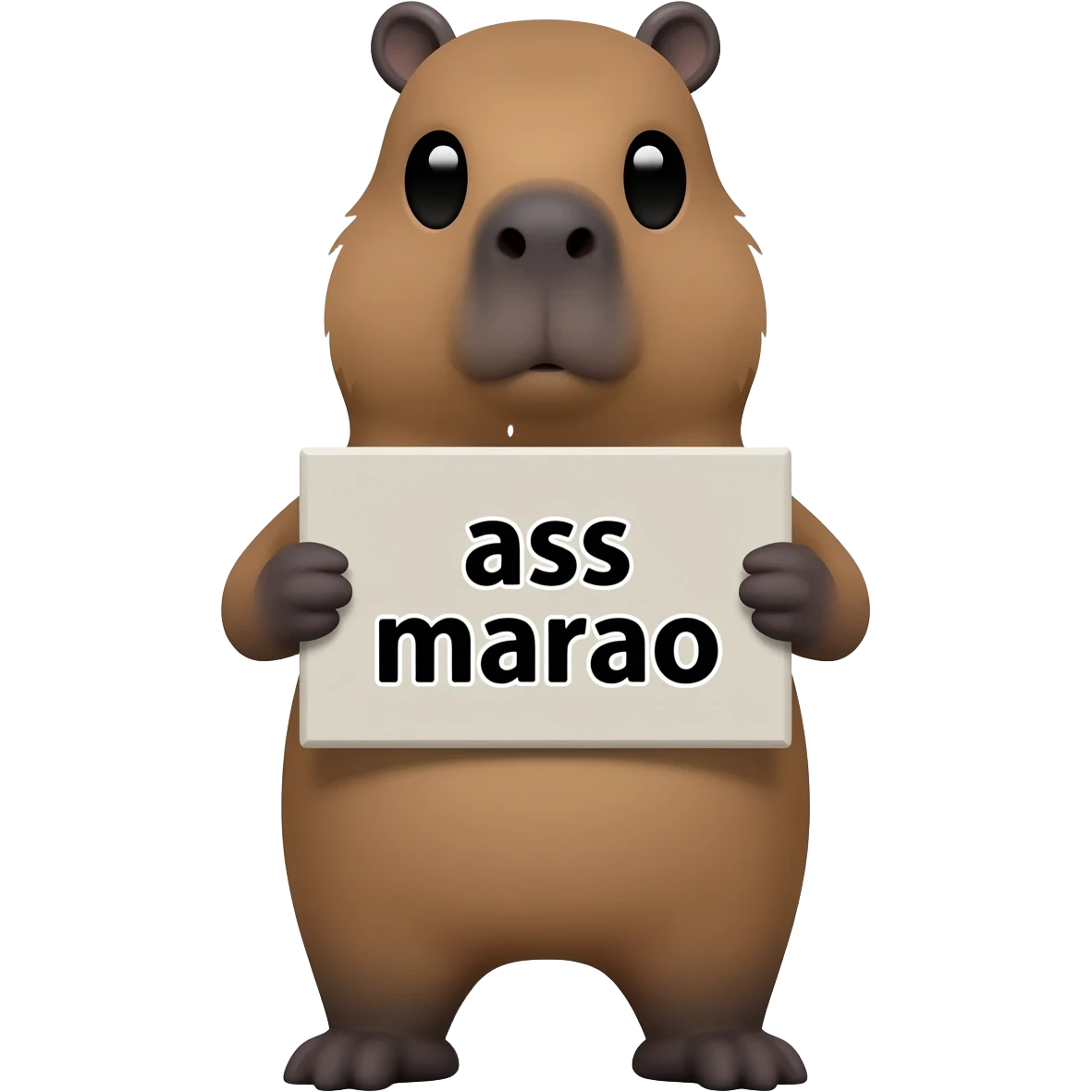 capybara holding a board on which ass marao is written emoji