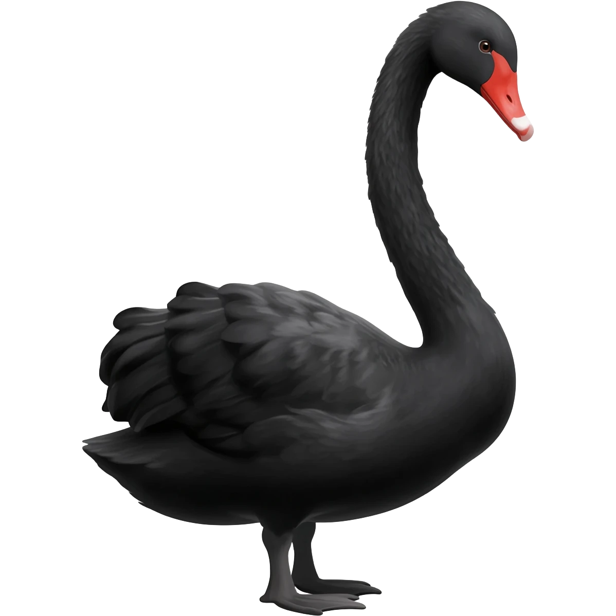Make a black Swan emoji