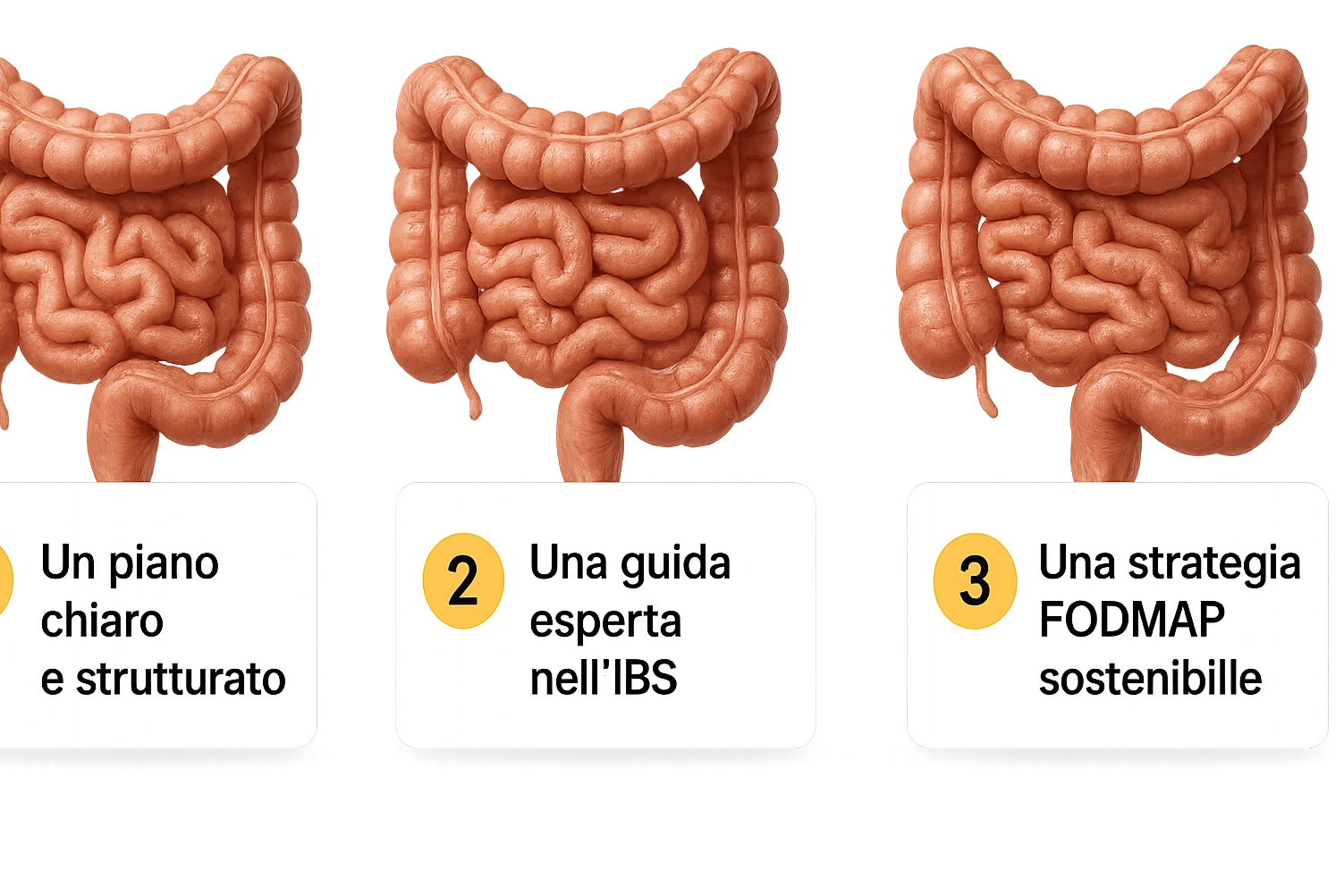 emoji stile iphone di 3 targhette numerate con intestino realistico davanti ad ogni targhetta, le targhette sono:
"1 – Un piano chiaro e strutturato
2 – Una guida esperta nell’IBS
3 – Una strategia FODMAP sostenibile"
, iperrealistico 4k emoji
