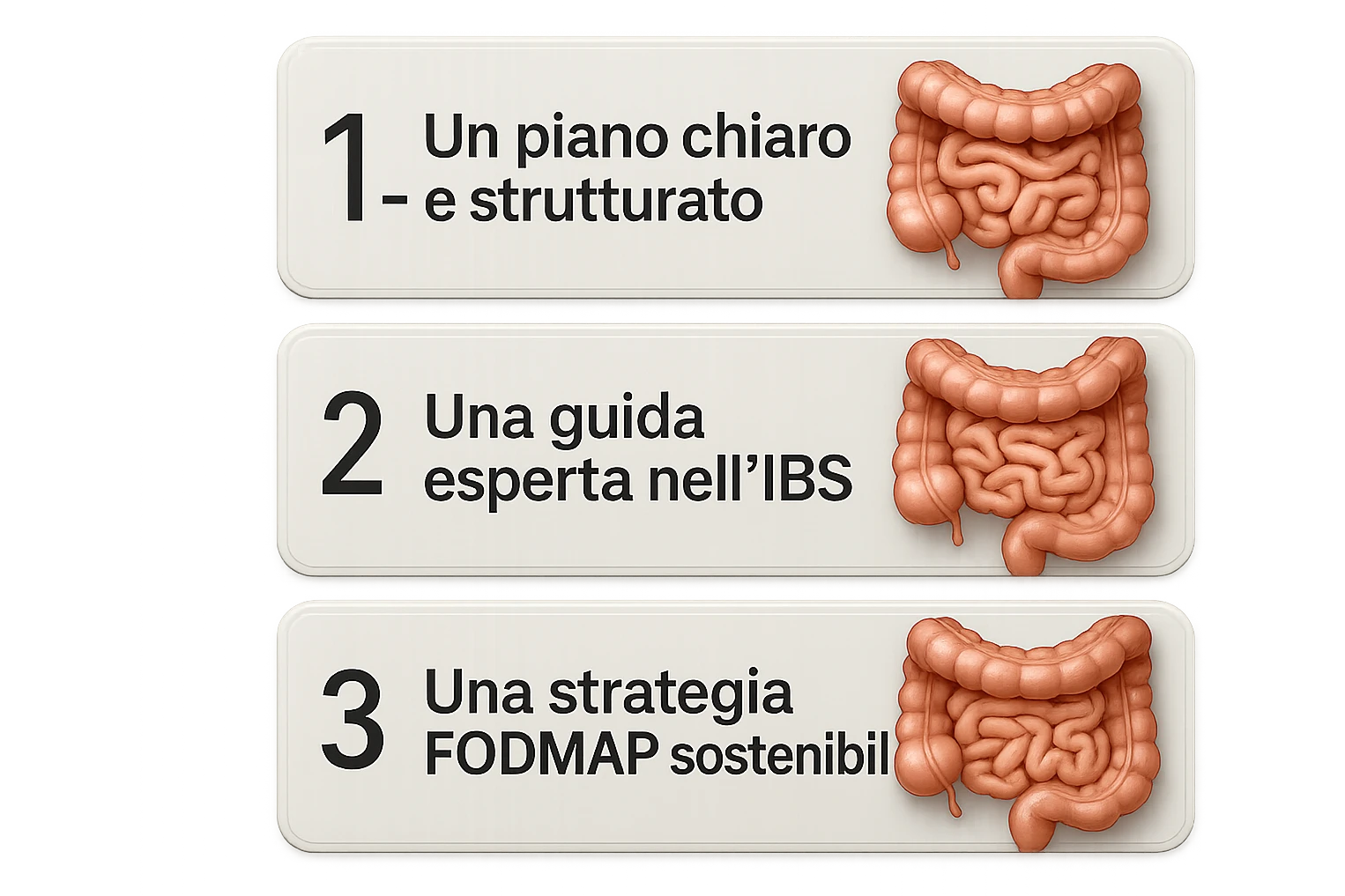 emoji stile iphone di 3 targhette numerate con intestino realistico davanti ad ogni targhetta, le targhette sono:
"1 – Un piano chiaro e strutturato
2 – Una guida esperta nell’IBS
3 – Una strategia FODMAP sostenibile"
, iperrealistico 4k emoji