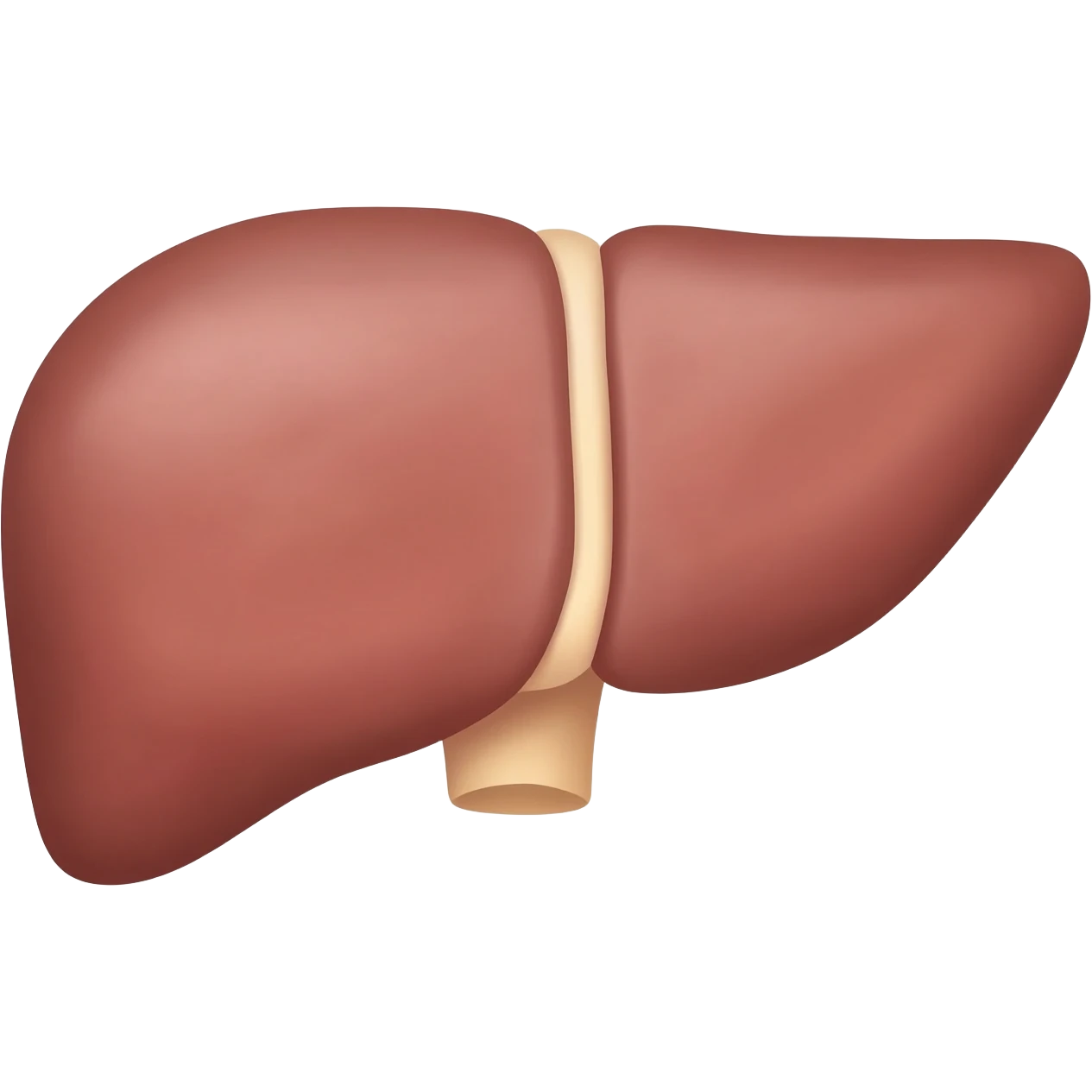 Liver (organ) emoji