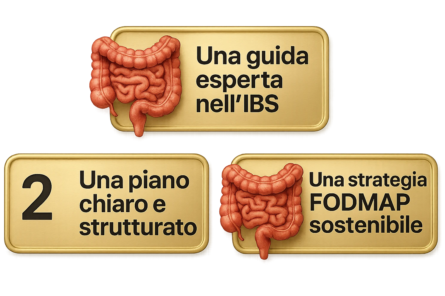 emoji stile iphone di 3 targhette numerate con intestino realistico davanti ad ogni targhetta, le targhette sono:
"1 – Un piano chiaro e strutturato
2 – Una guida esperta nell’IBS
3 – Una strategia FODMAP sostenibile"
, iperrealistico 4k emoji