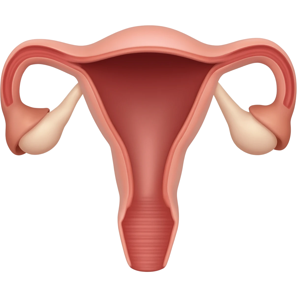realistic uterus emoji