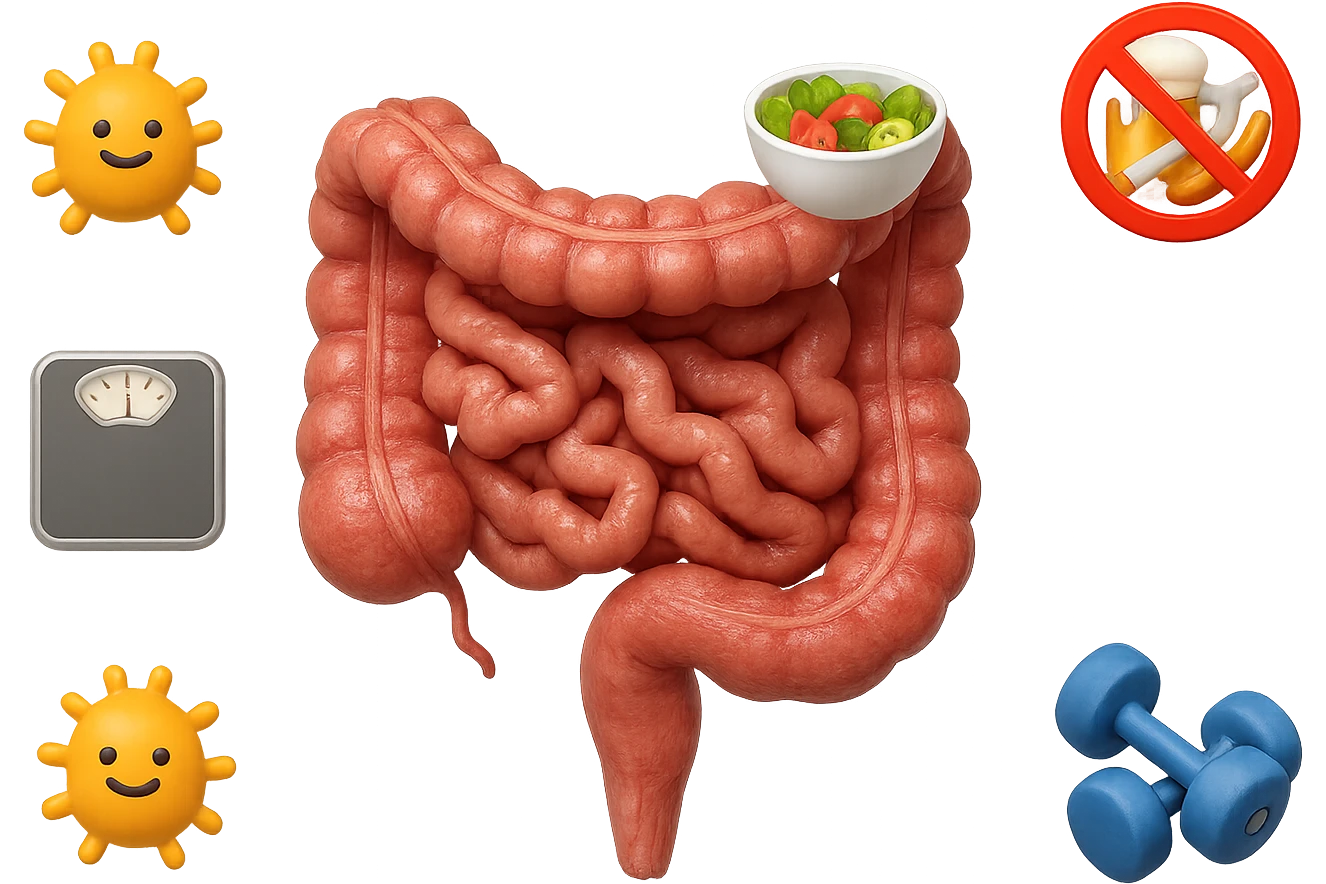 intestino umano anatomico realistico al centro, intorno al quale ruotano emoji stile iphone di: due batteri intestinali felici, una bowl di insalata, una bilancia pesapersone, manubri da palestra, e un boccale di birra con divieto 3d sopra, una sigaretta con divieto 3d sopra e un wurstel con divieto 3d sopra, fluttuano in aria, iperrealistico 4k emoji