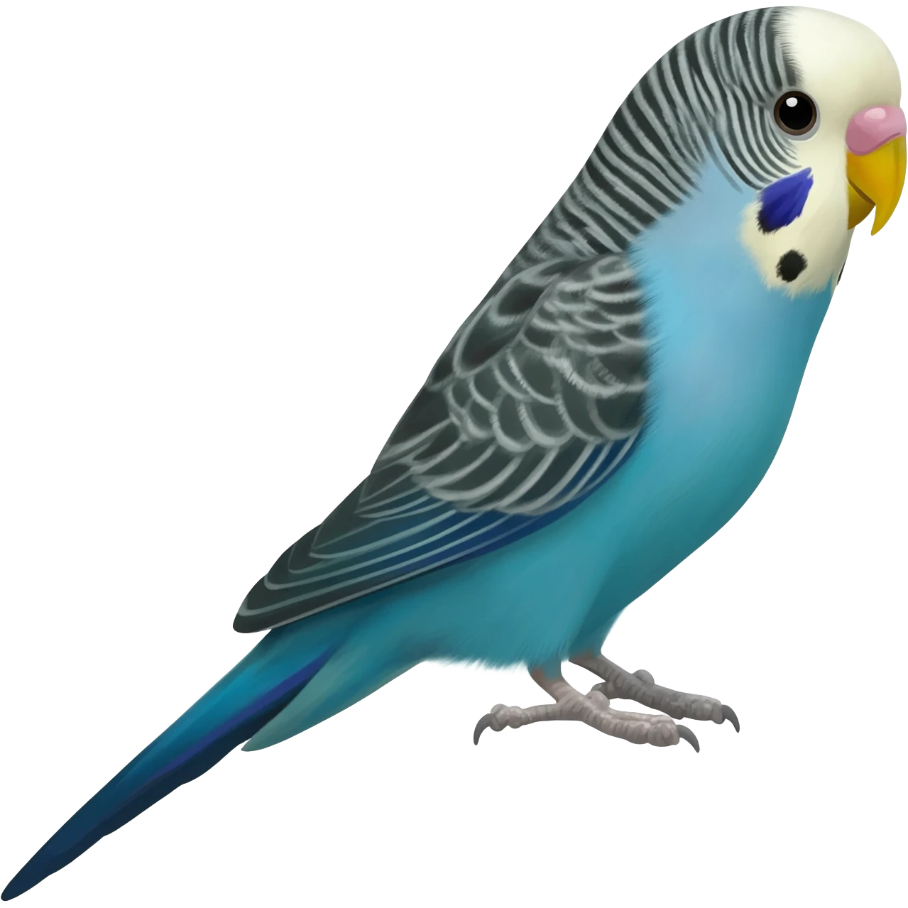 Blue budgie emoji