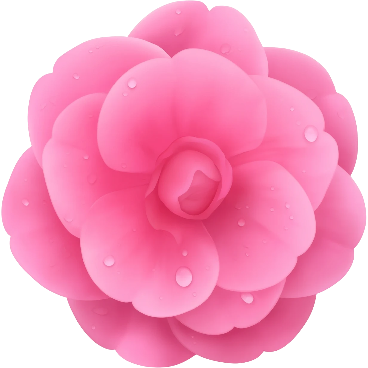 pink camellia flower emoji