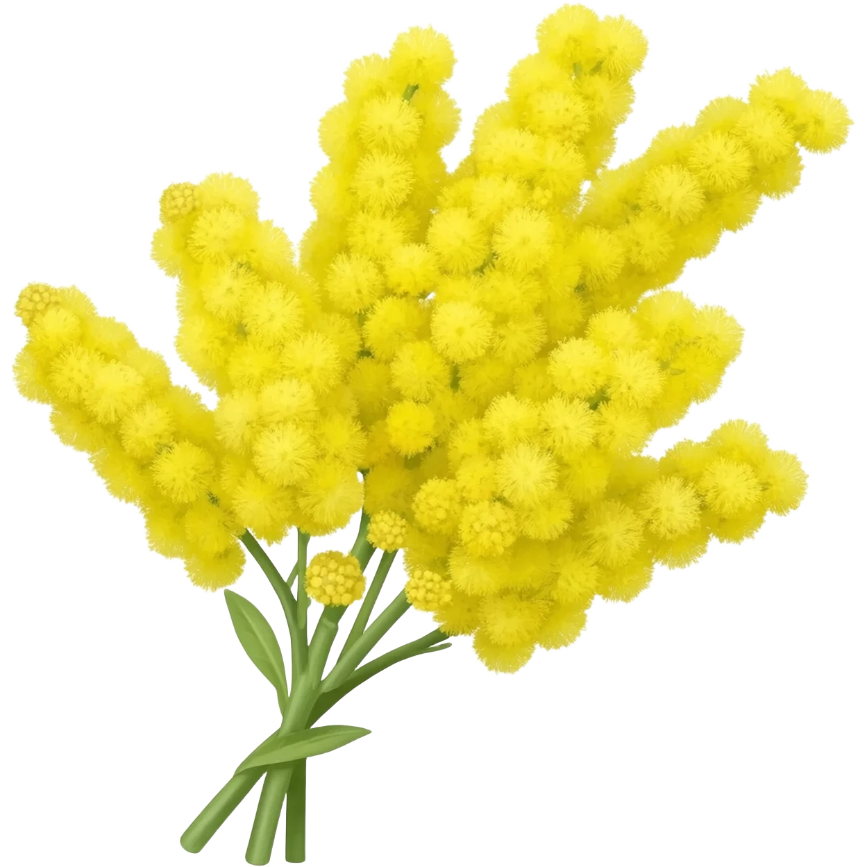Mimose emoji