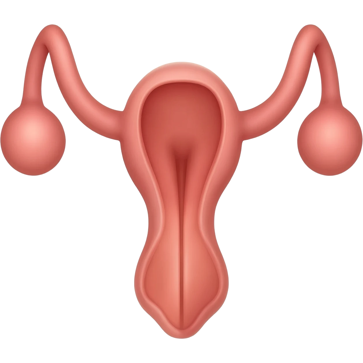 a vigina and penis emoji