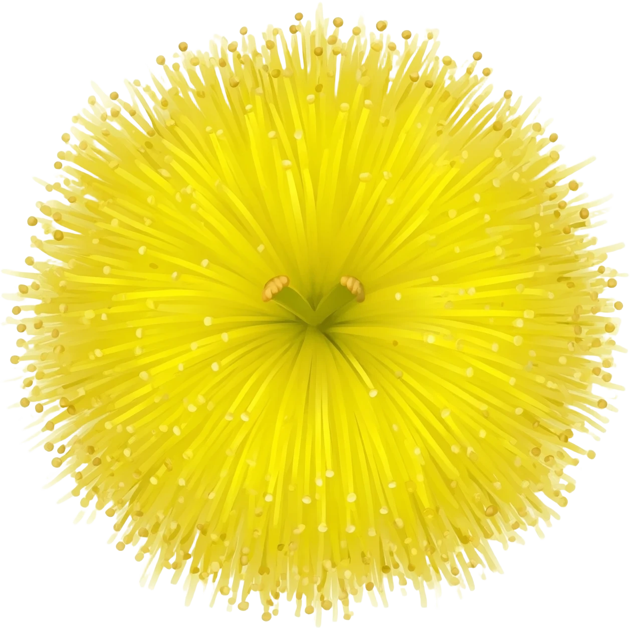 Mimosa emoji