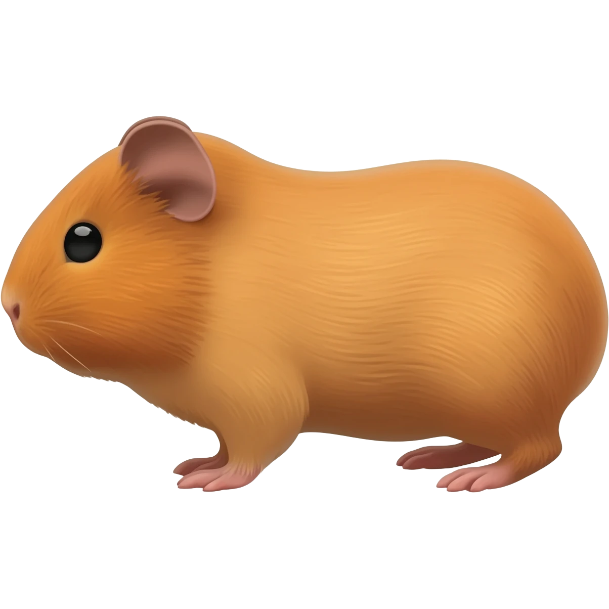 Морська свинка emoji