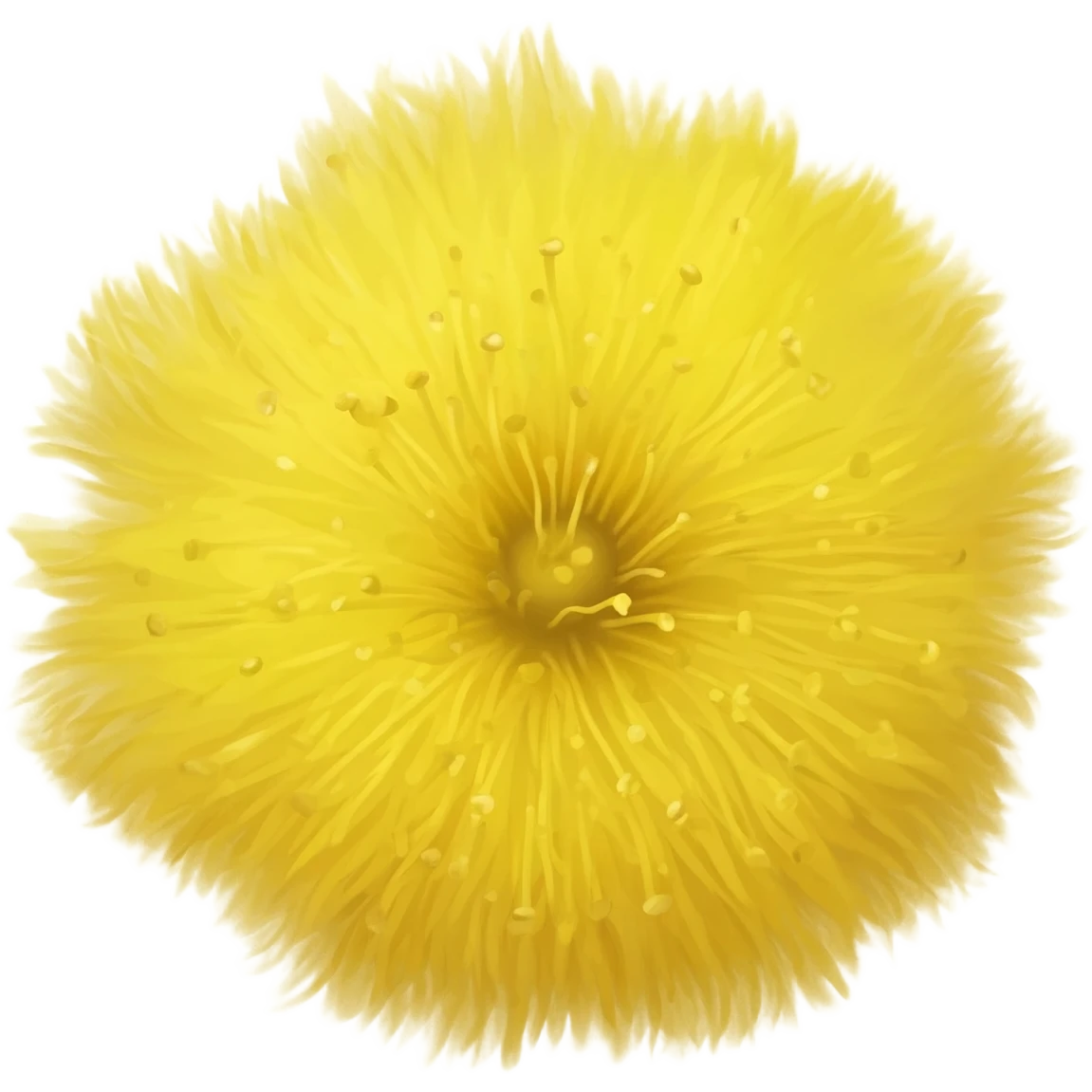 Mimosa emoji