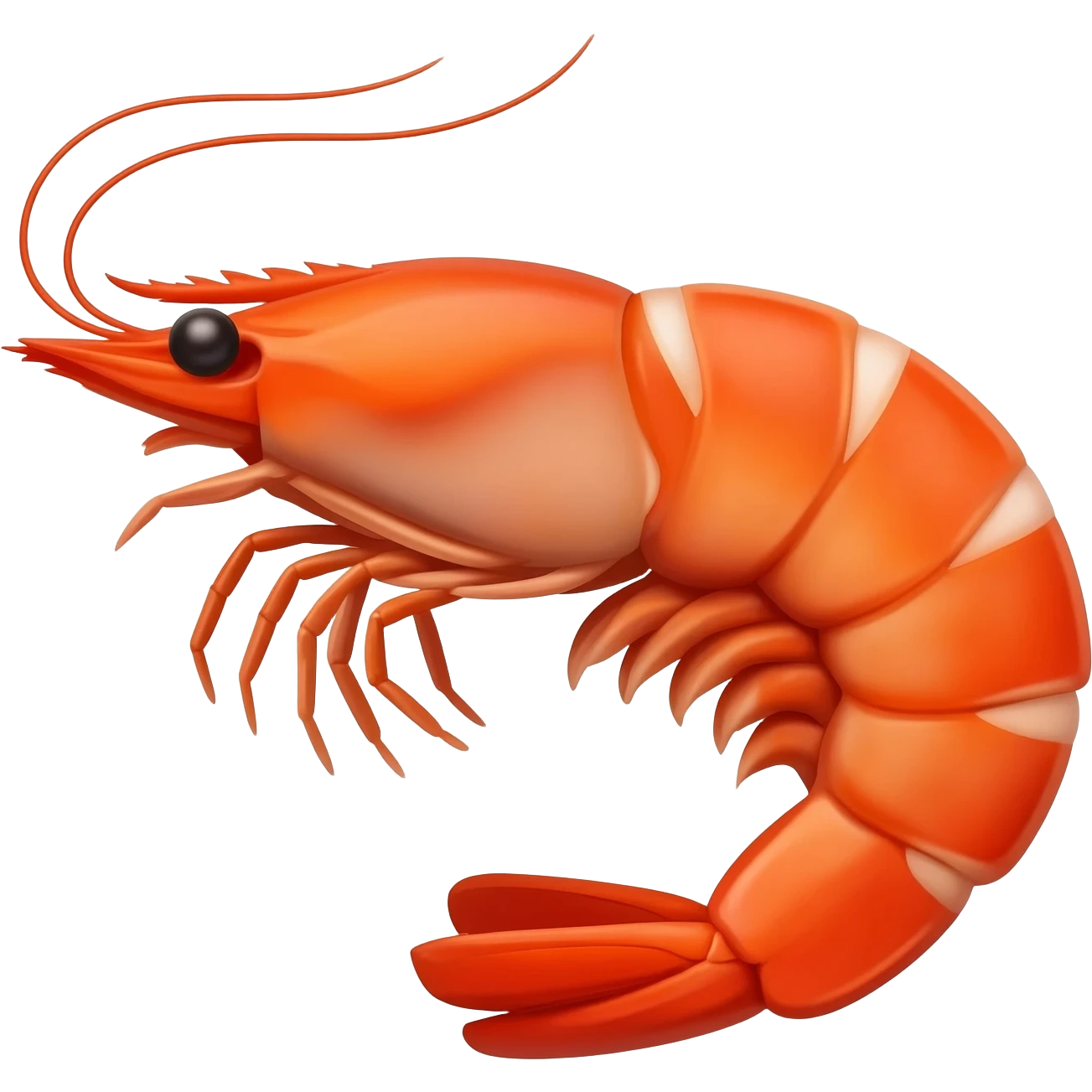 Camaron sonriendo emoji