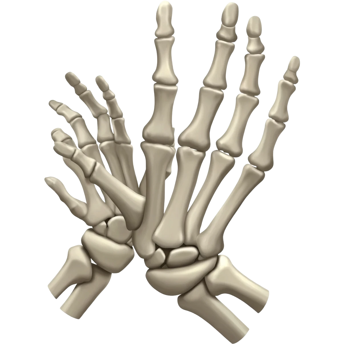 Pray hands but as skeleton hands, tilt the slightly to the sides at an angle, with light shining above the hands emoji
