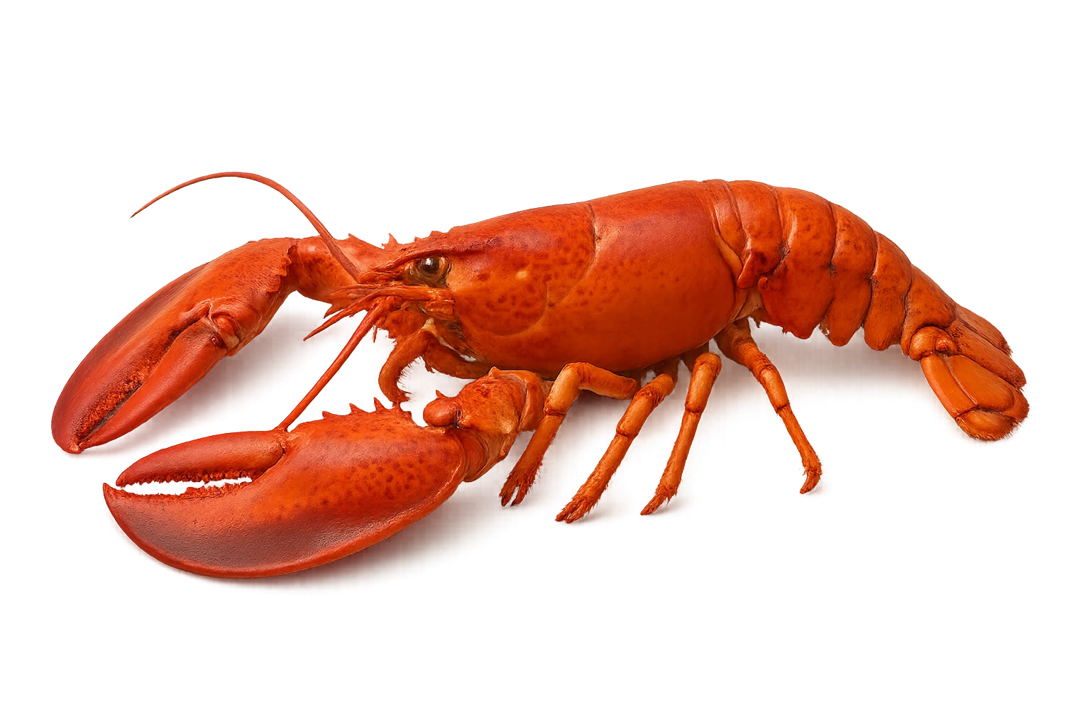Lobster emoji