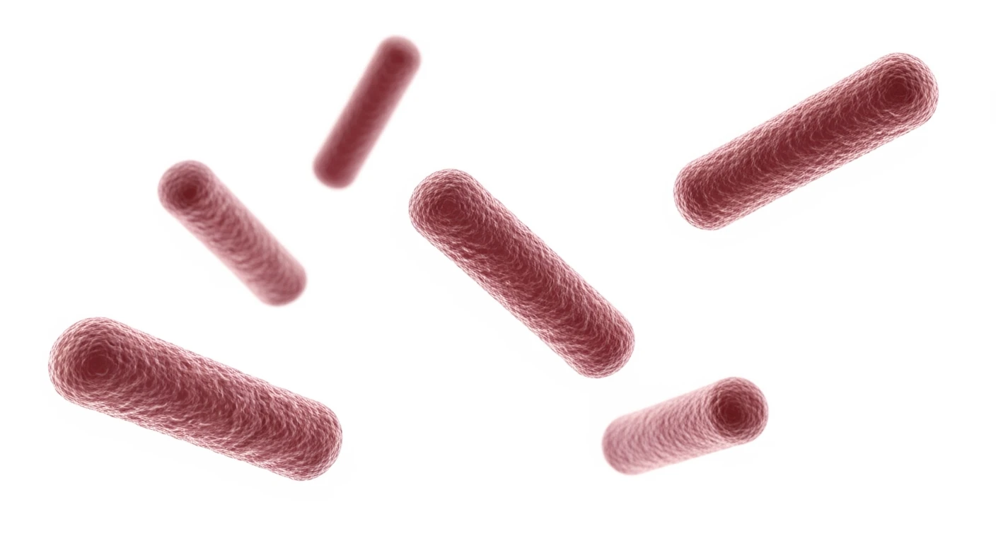 sei batteri intestinali con questo colore: #971ef1 fluttuano in aria, iperrealistico 4k
isolata su sfondo bianco emoji