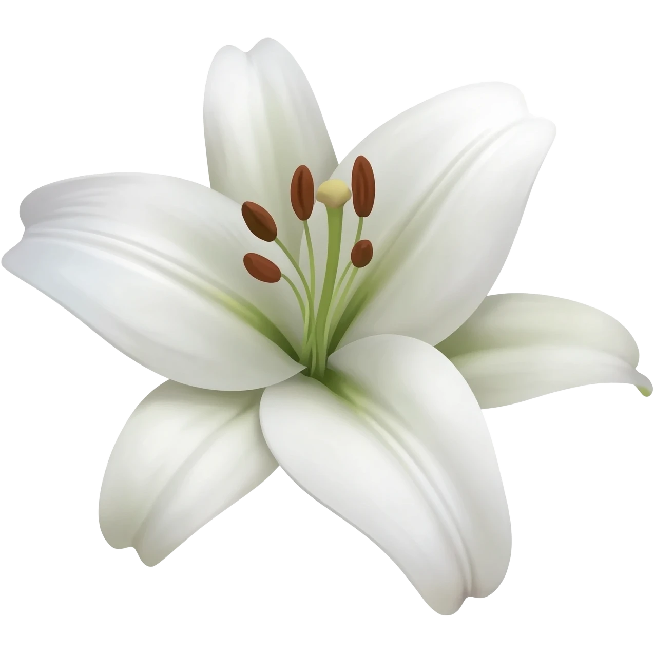 Lily flower white one line art emoji