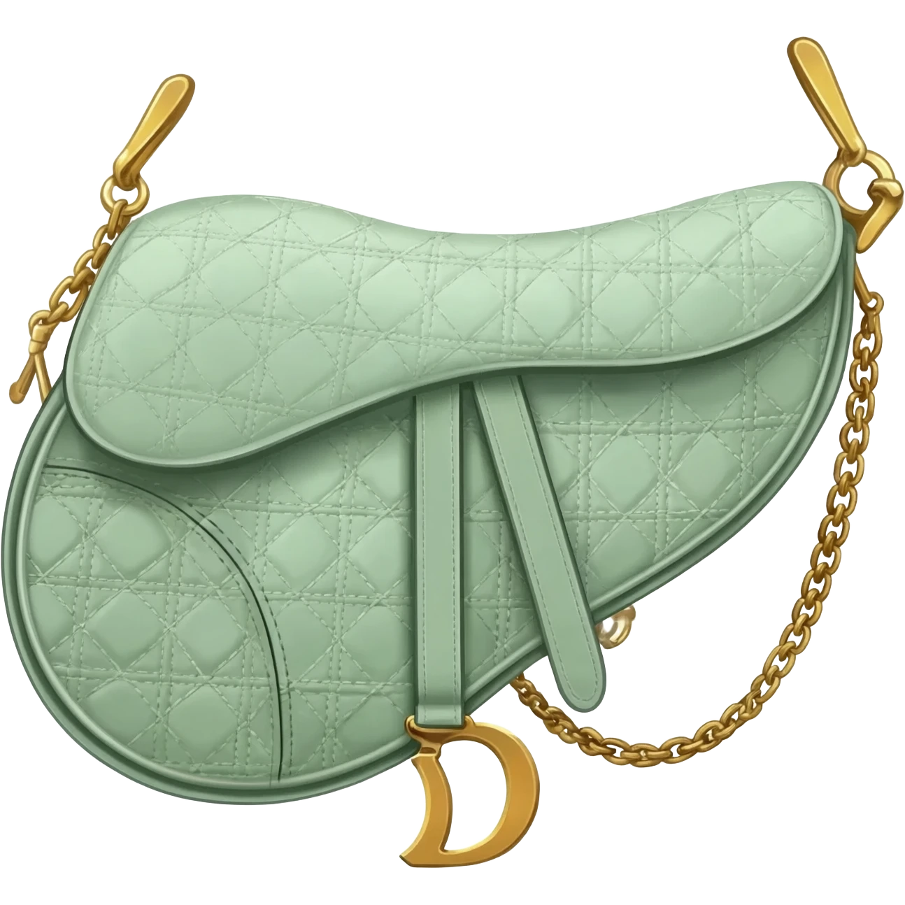 light green dior saddle bag emoji