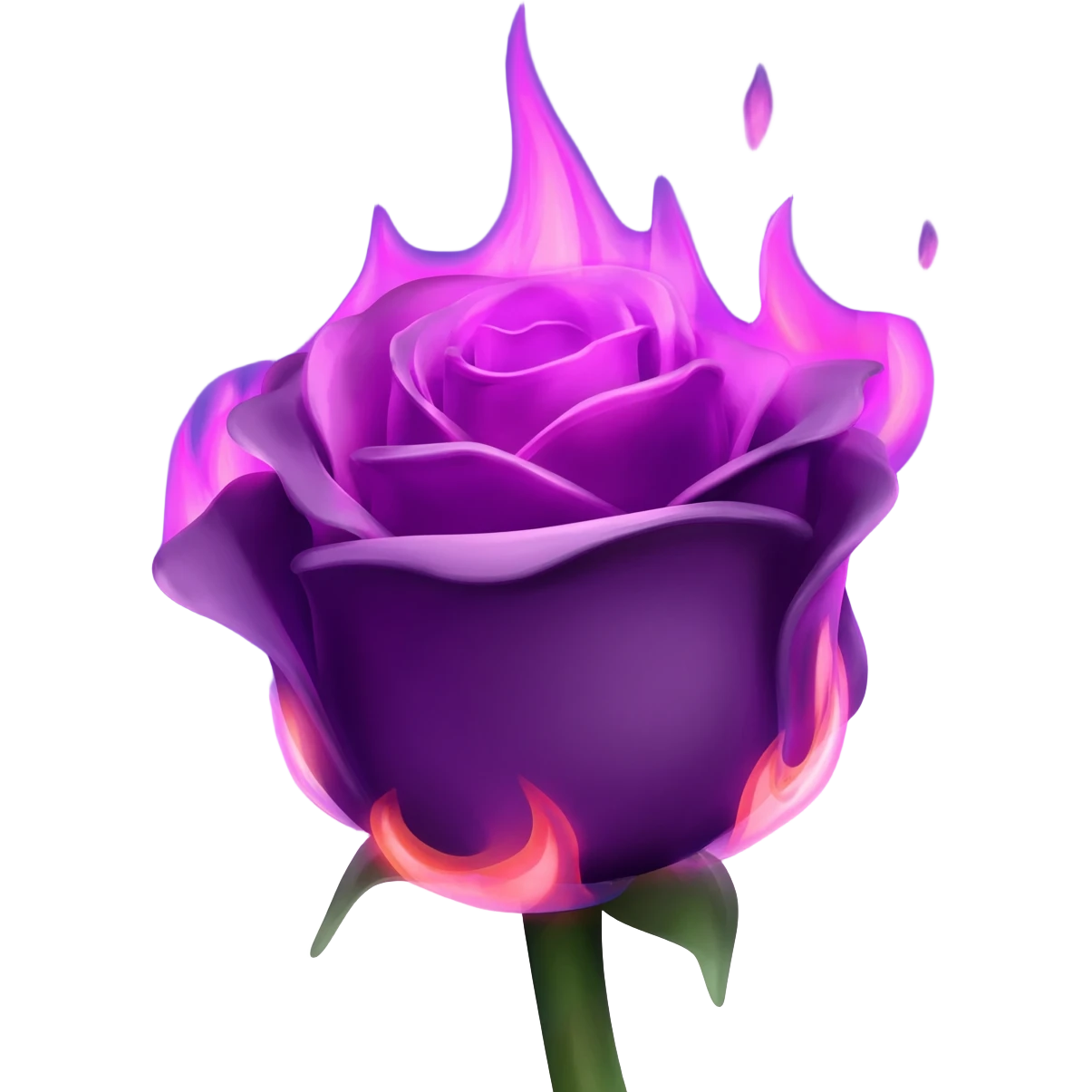 Create a rose that is flaming with purple fire emoji