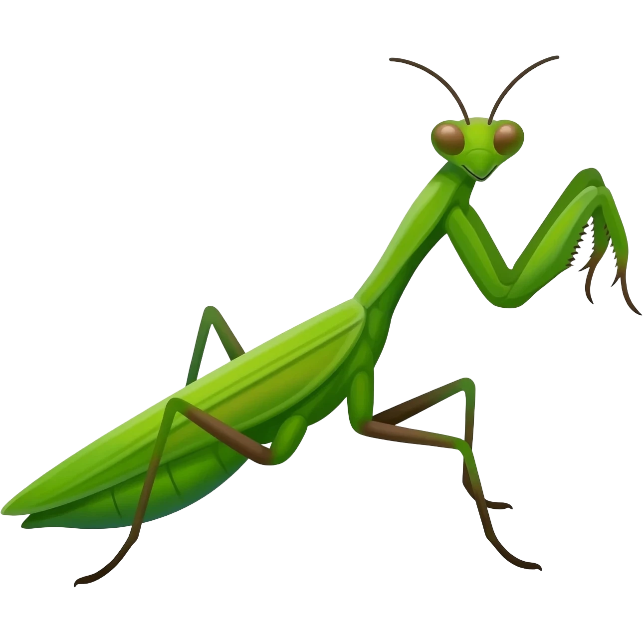 Praying mantis emoji